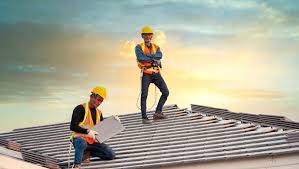 Best Roof Moss and Algae Removal  in Taylor, AL